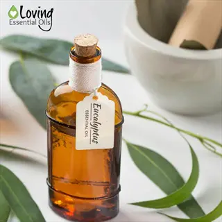 brown glass eucalyptus oil bottle with tag and cork, surrounded by eucalyptus leaves and mortar/pestle. loving essential oils branding