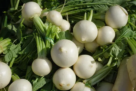 bunch of fresh white egg turnips with green tops, showcasing their round white roots and leafy stems