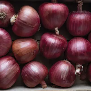 bunch of rossi di milano onions with red-purple skins and dried stems in a wooden crate