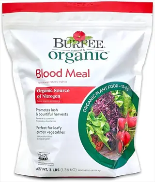 burpee organic blood meal fertilizer bag for nitrogen-rich soil amendment; promotes lush growth in kale and other leafy green gardens