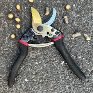 bypass pruner with black and red ergonomic handle design, golden cutting blade, and metal adjustment bolts surrounded by cut plant stems on asphalt surface