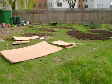 cardboard garden mulch sheets laid on grassy area in fenced urban garden with soil beds, bins, and trees