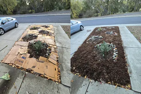 cardboard sheet mulching progression: left shows sheets with initial mulch layer, right displays finished mulch-covered garden bed