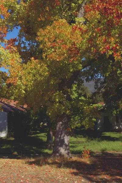 Seasons