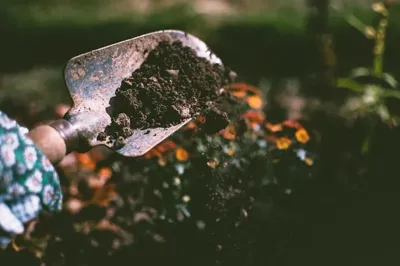 Soil