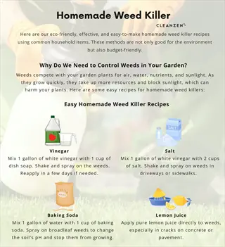 cleanzen's homemade weed killer infographic: vinegar, salt, baking soda & lemon juice recipes to control lemon juice weeds naturally in gardens, cracks, and pavement