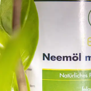 close-up of a bottle labeled 'neemöl mit emulgator,' a type of neem oil product