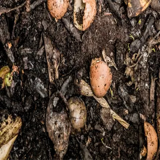 close-up of a compost pile with visible eggshells and organic matter, enriching the soil