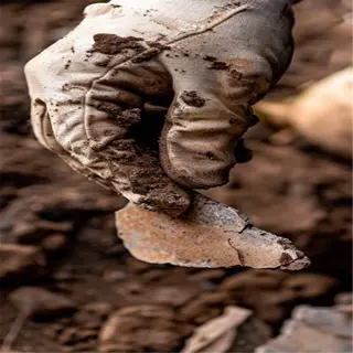 close-up of a gloved hand holding a soil sample during gardening