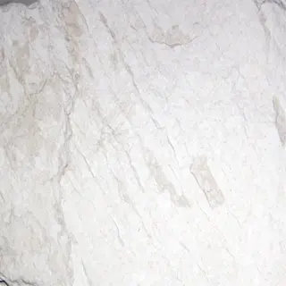 close-up of a white, porous rock, resembling diatomaceous earth