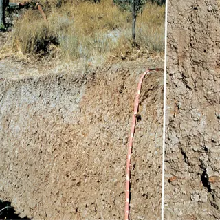 close-up of cracked soil, indicative of acidic conditions
