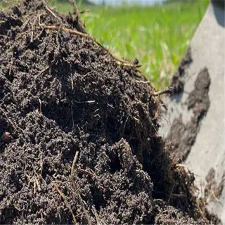 close-up of dark, rich organic fertilizer with shovel