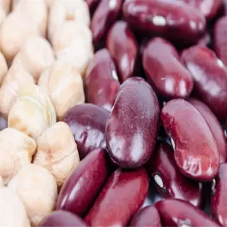 close-up of dry kidney beans