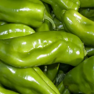 close-up of glossy green cubanelle peppers piled together, showcasing their smooth skin and elongated shape