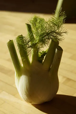close-up of harvested fennel bulb with fresh green fronds on a wooden surface, showcasing the leafy tops and pale bulb, ideal for culinary use