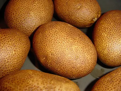 close-up of russet burbank potatoes with characteristic rough, netted brown skin texture, piled together