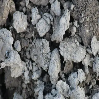 close-up of soil aggregates showing stability