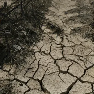 closeup of cracked dry soil with visible fissures