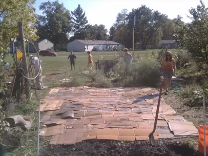 community garden with volunteers laying cardboard sheet mulch across a sunny plot, surrounded by tools, trees, and residential buildings