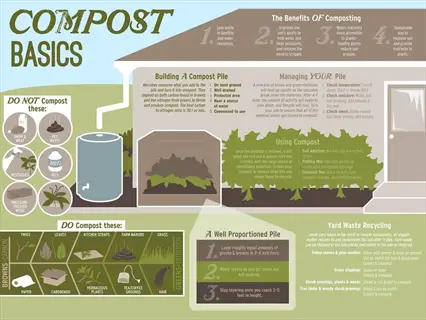 compost basics infographic showing cardboard as garden layer base for compost pile setup, with sections on materials (do's/don'ts), pile management, and yard waste recycling