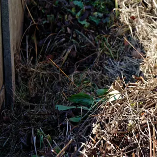 compost pile in a garden with dry leaves and twigs