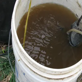 compost tea brewing in a bucket for soil drench