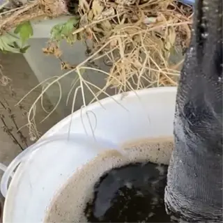 compost tea brewing in a bucket with a mesh bag