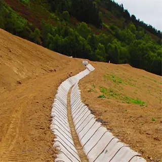 constructed drainage ditch for farm erosion control