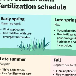 cool-season lawn fertilization schedule with seasonal application guidelines