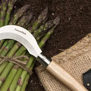 curved harvesting knife with wooden handle and leather sheath near asparagus