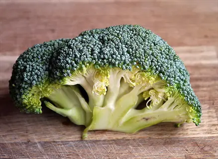 cut piece of ripe broccoli showcasing deep green color with florets and stem on a wooden surface