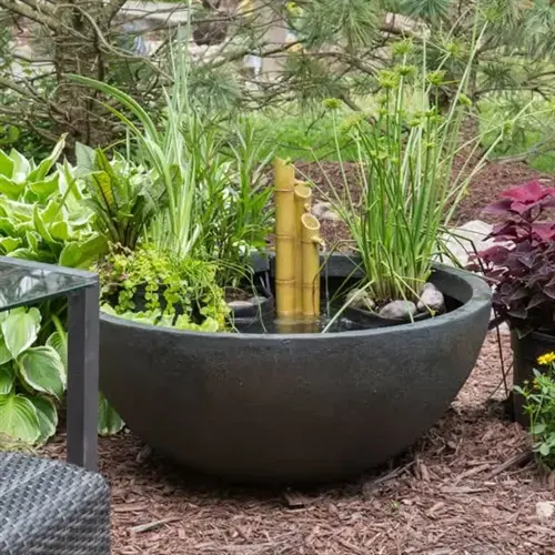 decorative garden water feature in large black bowl with aquatic plants, bamboo fountain, and surrounding foliage; self watering system garden element