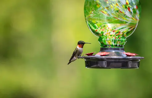 decorative glass hummingbird feeder with a perched hummingbird in a garden