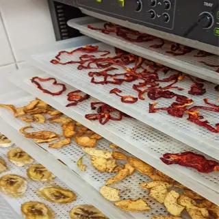 dehydrator trays filled with sliced fruits and vegetables