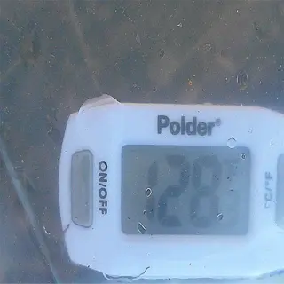 digital soil thermometer probe displaying temperature reading