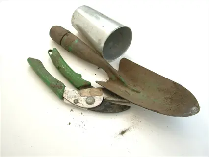 dirty and rusty gardening loppers, trowel, and metal container on a white surface