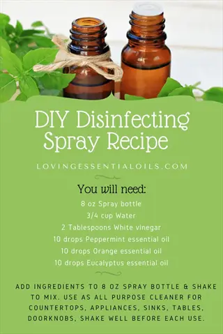 diy natural disinfectant spray garden recipe infographic with amber glass bottles, green leaves, and ingredient list for homemade cleaner
