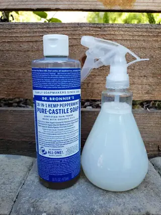 dr. bronner's castile soap and garden spray bottle setup for organic gardening