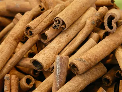 dried cinnamon sticks bark piled together, showcasing curled woody texture and natural brown hues - culinary spice ingredient