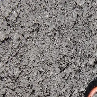 earthworm on asphalt, seemingly leaving soil