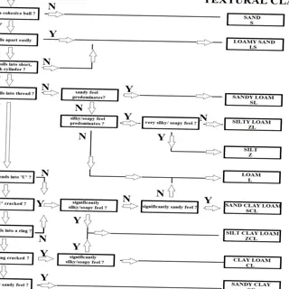 flowchart for soil texture analysis with detailed steps and indicators