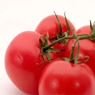 four ripe tomatoes on a white background