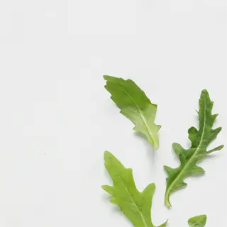 fresh arugula leaves arranged on a light background