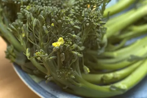 fresh broccolini stems with florets and yellow flowers in a blue bowl on a wooden surface