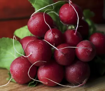 fresh bunch of cherry belle radishes with green leaves and roots on wooden surface