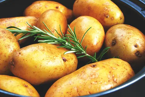 fresh yukon gold potatoes in a bowl with rosemary sprig, showcasing natural skin texture and warm yellow hue