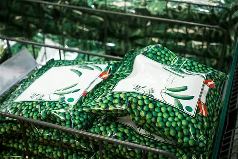 frozen green beans packages stacked in supermarket freezer basket, featuring green pea-patterned packaging with visible text labels and branding