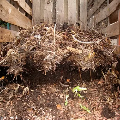 garden compost pile in a wooden bin with layered organic materials including twigs, dry leaves, and green vegetation, surrounded by soil and rocks