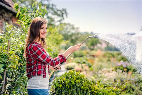 garden hose mulch watering: smiling woman using hose sprayer in sunny garden for moisture management