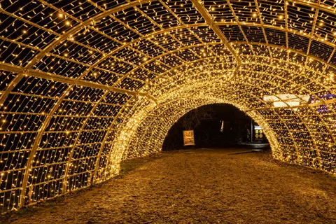 garden light tunnel at night: arched golden led light grid forms a glowing pathway over gravel trail in outdoor setting, informational signs visible in background